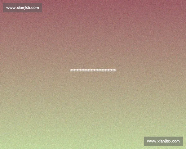 揭秘夏天走了菊花开了歌曲来源及背后感人故事深度解析全面展示说