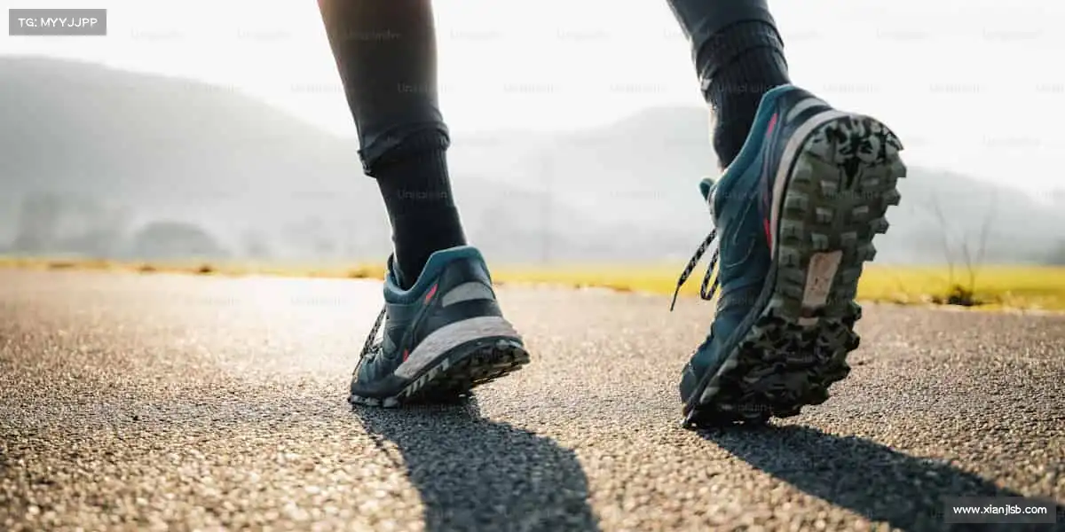 <strong>每日大赛app官网</strong>匠心雕琢影视精品，以镜头为笔书写时代的精彩篇章🎬